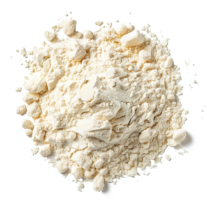 akkermansia muciniphila akk11