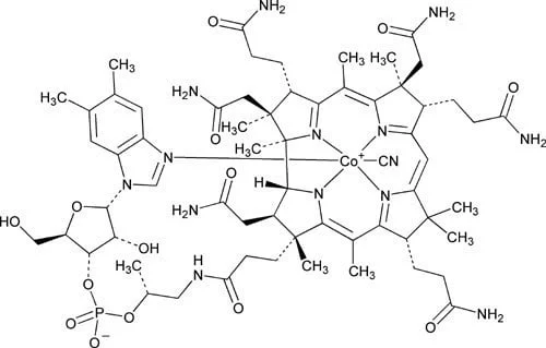 auto draft auto draft