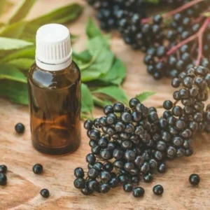 elderberry seed oil