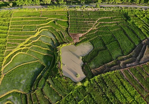 dystrybutor surowcow z calego swiata