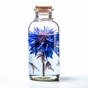 fermented cornflower extract