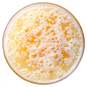 galactomyces fermentation filtrate