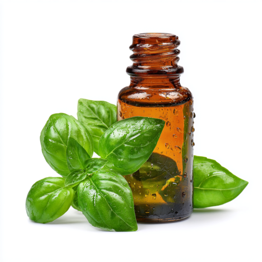 basil oil basil oil