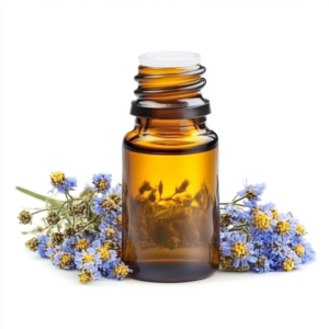 blue tansy oil