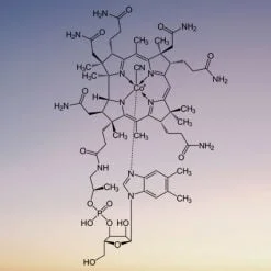 auto draft auto draft