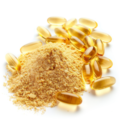 auto draft auto draft