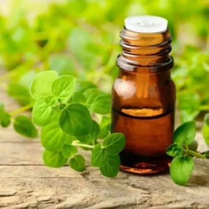 marjoram seed oil