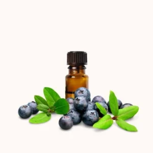 berry seed oil