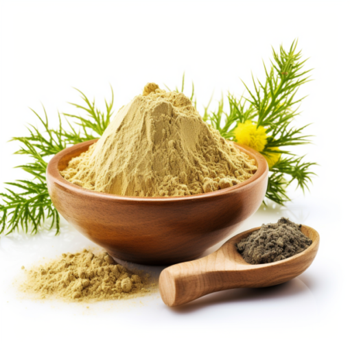 mugwort extract mugwort extract
