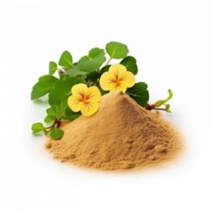 small leaved bacopa extract