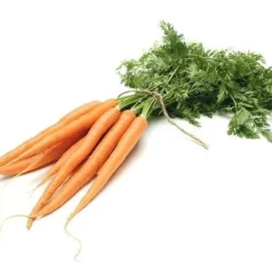 carrot macerate