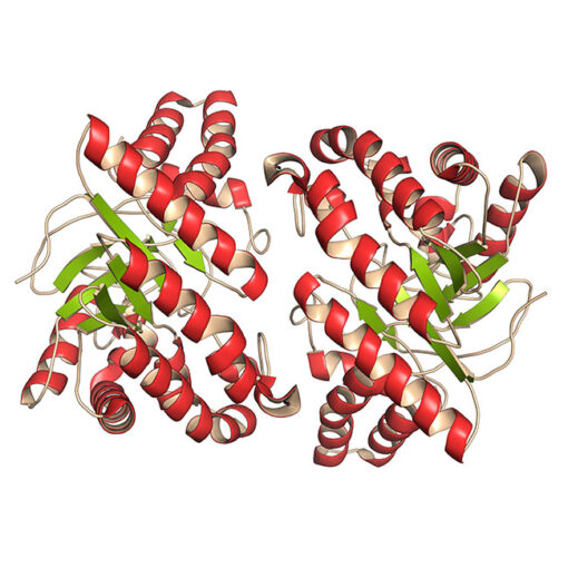 cellulase ec 3.2.1.4 cellulase ec 3.2.1.4