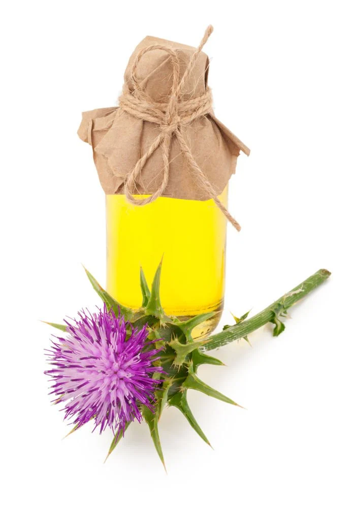 milk thistle oil milk thistle oil