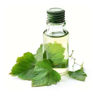 blackcurrant leaf hydrolate