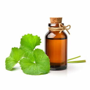 macerate of centella asiatica