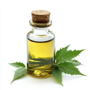 neem seed oil