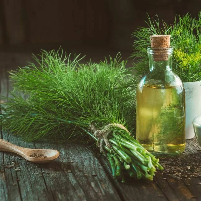 fennel seed oil fennel seed oil