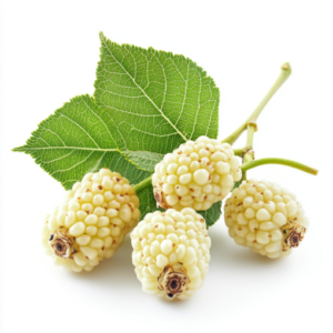 white mulberry fruit