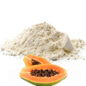papain powder/papaya enzyme powder