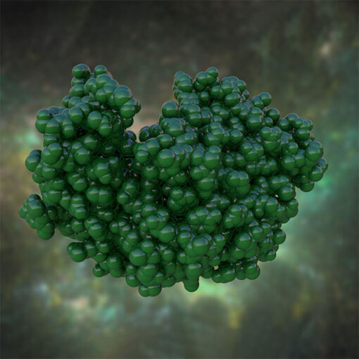 auto draft auto draft