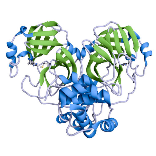 protease ec 3.4.21.112 protease ec 3.4.21.112